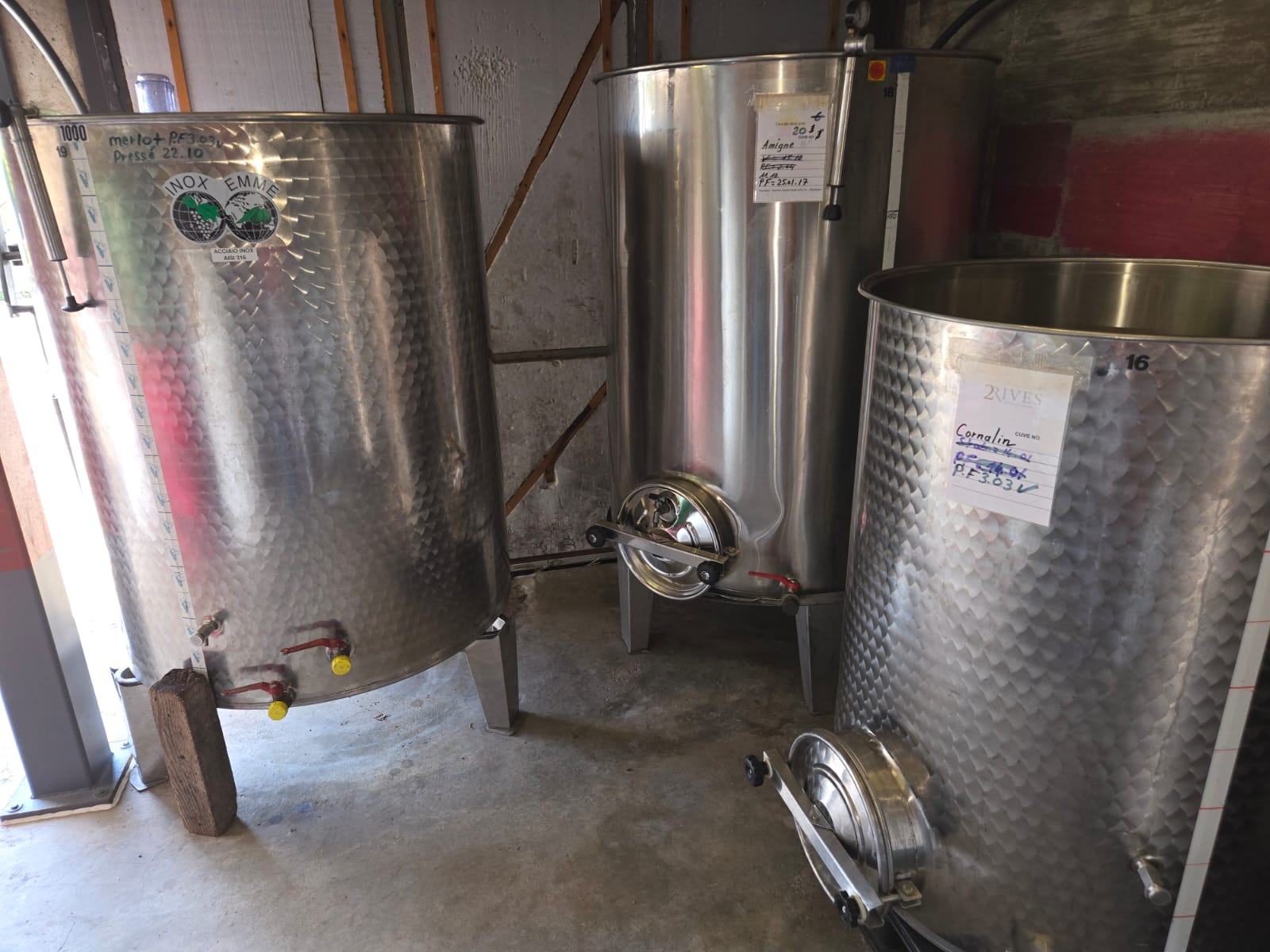 Cuve, chapeaux flottans et fouloir égrappoir