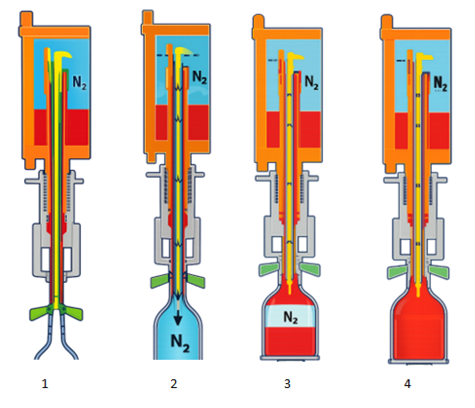 schema